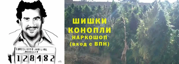 крисы Абдулино