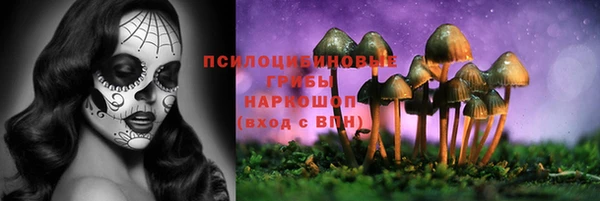 крисы Абдулино