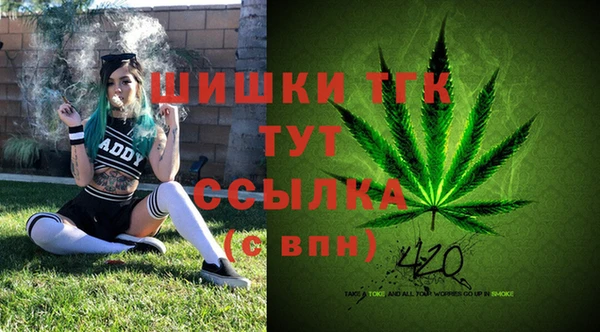 сатива Нягань