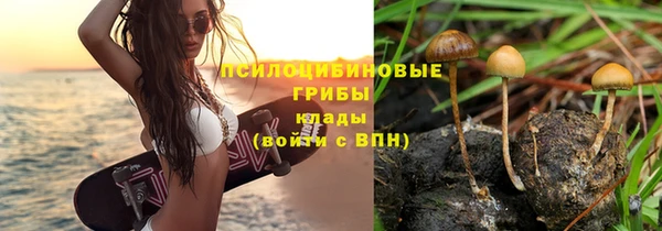 кокс Абаза