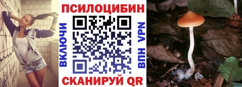 наркотики  Кяхта  мориарти Telegram  Галлюциногенные грибы MAGIC MUSHROOMS 